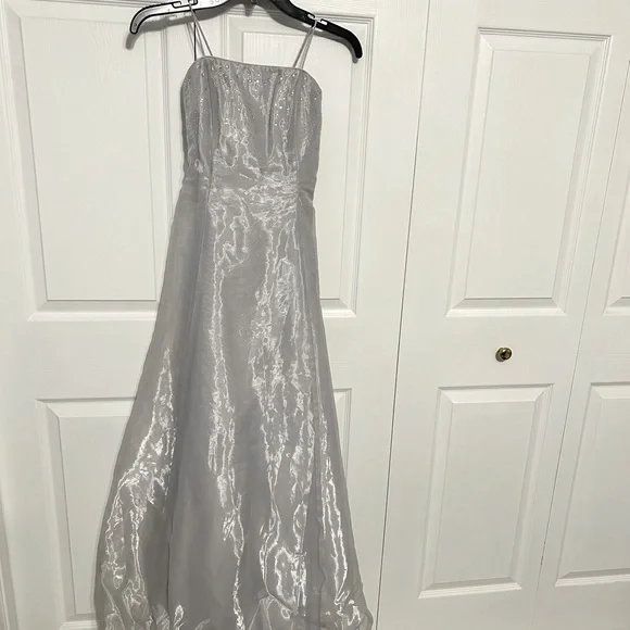 Lenovia | Dresses | A Long Sliver Dress | Poshmark